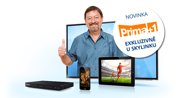 Přejdi ke Skylinku