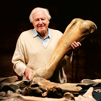 Attenborough a pohřebiště mamutů – dvoudílný dokument