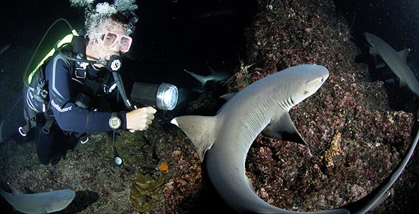 Fotografování žraloků na Fidži