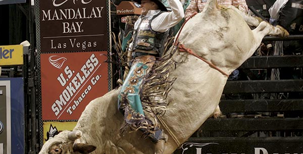 Pro Bull Riders 2014