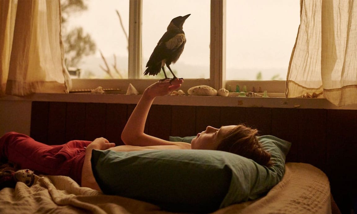Tučňák Bloom – australské drama - Foto 3