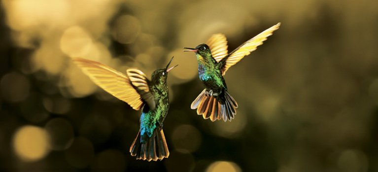 Ve vzduchu – přírodovědný seriál