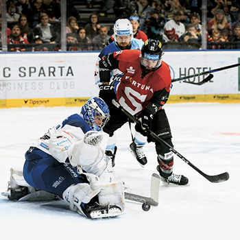 Liga mistrů – sportovní programy