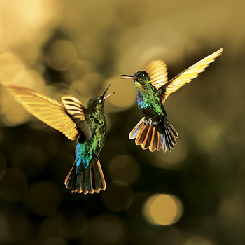 Ve vzduchu – přírodovědný seriál