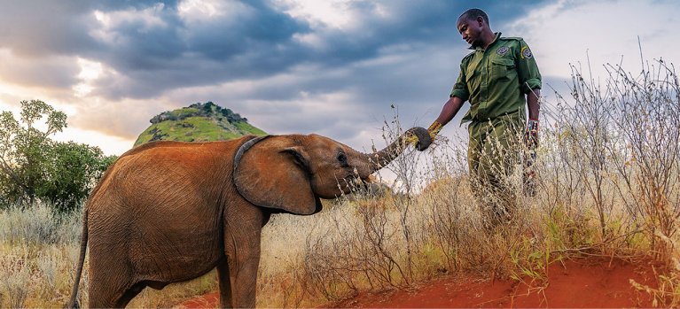 Stát se slonem: Sirotci z Reteti – přírodopisný seriál