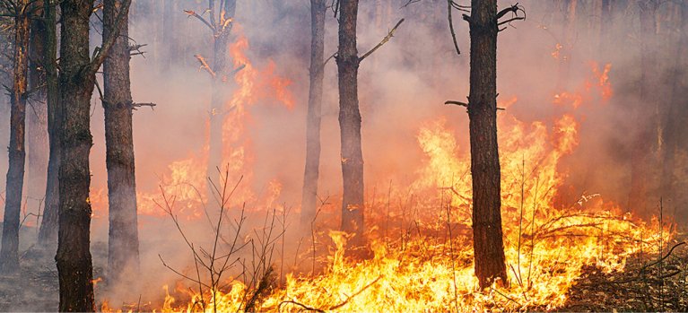 Hněv přírody – dokumentární série