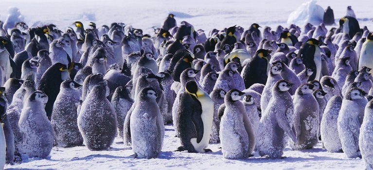 Nevlídná planeta – přírodopisná série