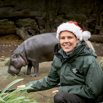 Londýnská zoo o Vánocích – dokument