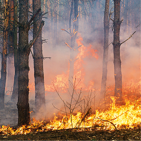 Hněv přírody – dokumentární série
