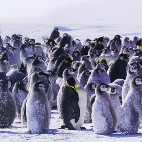 Nevlídná planeta – přírodopisná série