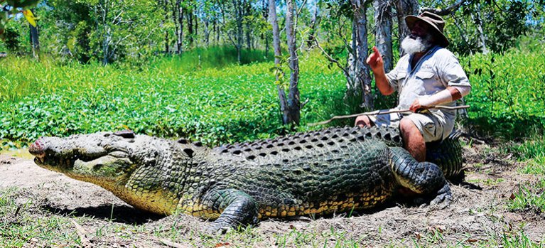 Po stopách australských divokých zvířat