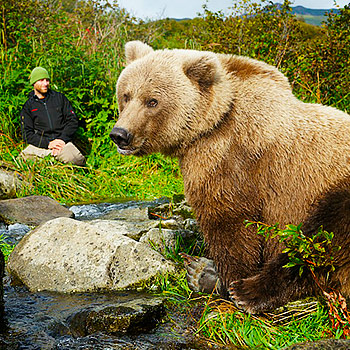 Dokument Sám mezi medvědy grizzly