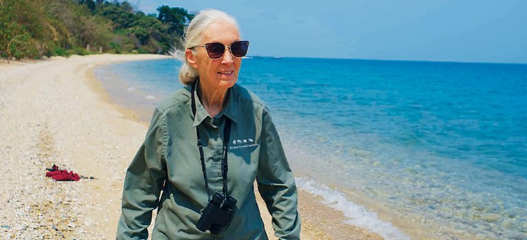 Dokumentární pořad Jane Goodallová: Naděje