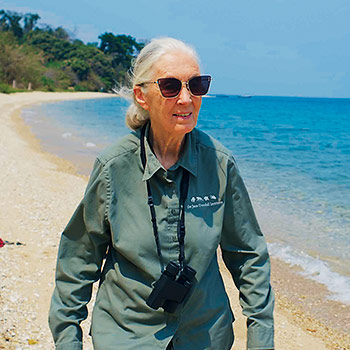Dokumentární pořad Jane Goodallová: Naděje