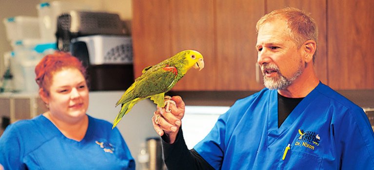 Veterinářka z Texasu – dokument