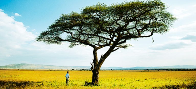 Pravidla Serengeti – přírodopisný pořad