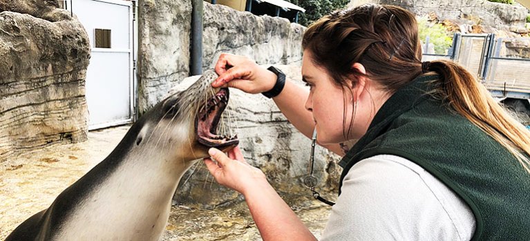 Zoo Taronga – dokument