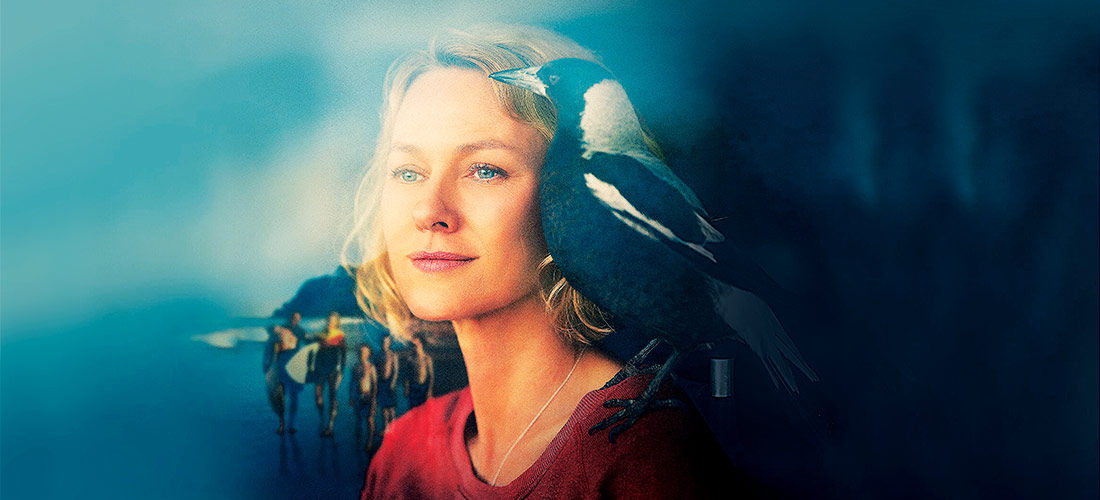 Tučňák Bloom – australské drama