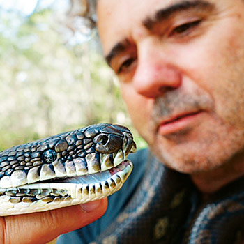 Překvapivá tajemství hadů – dokumentární seriál