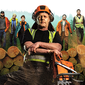 Dřevo nad zlato – dokumentární seriál