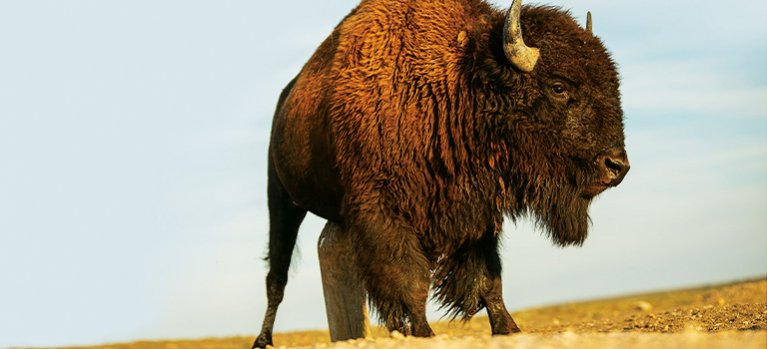 Evoluce Země – dokumentární seriál