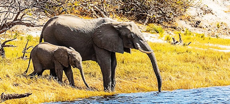 Titáni afrických řek – přírodopisný seriál