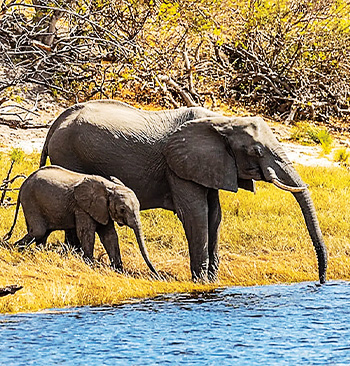 Titáni afrických řek – přírodopisný seriál